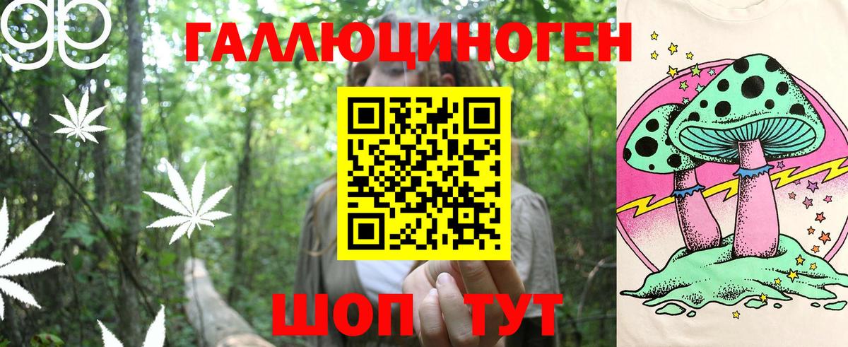 Галлюциногенные грибы Cubensis  Вход с VPN  Электрогорск 
