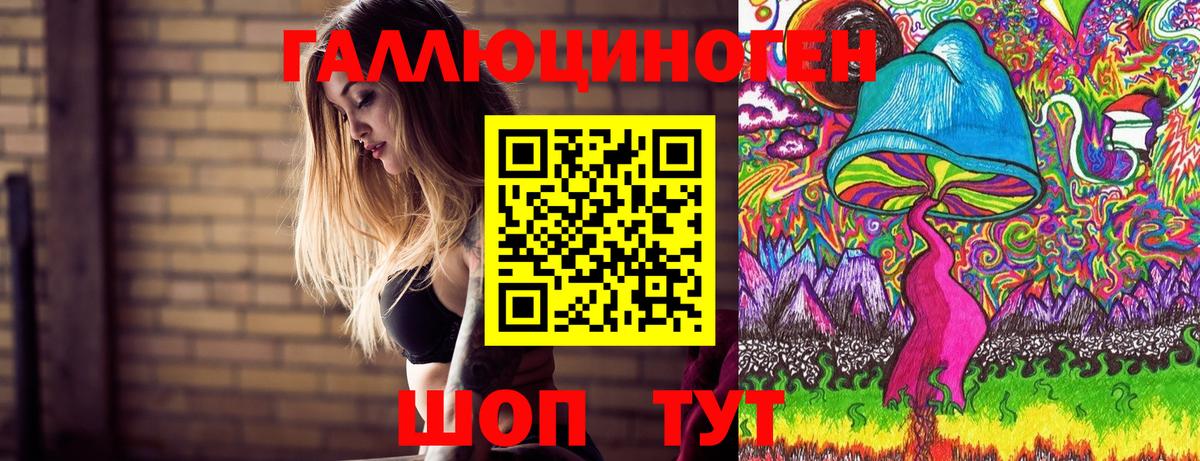 Псилоцибиновые грибы Psilocybine cubensis Электрогорск